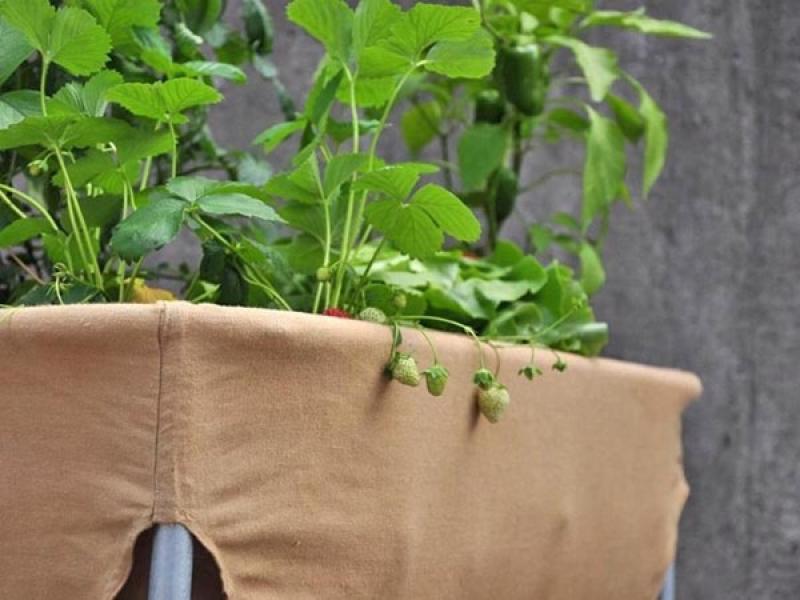 ดีไซน์กระถางผ้า..สร้างสวนในฝันให้คุณได้