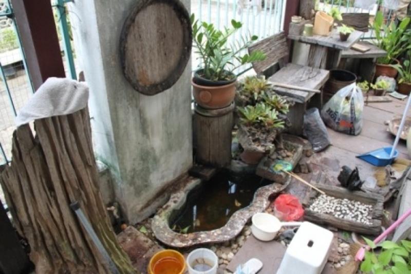 ไอเดียจัดสวนน่ารักริมรั้ว ด้วยตัวเอง