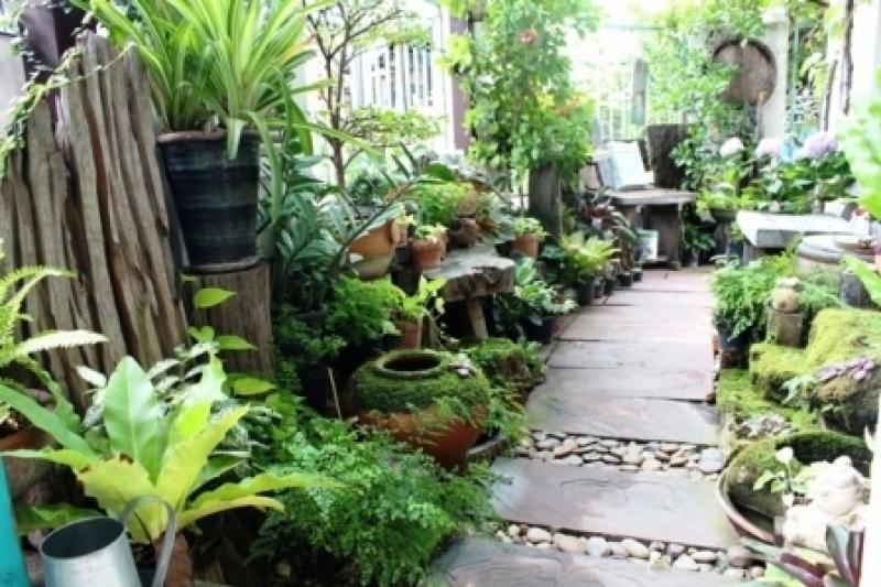 ไอเดียจัดสวนน่ารักริมรั้ว ด้วยตัวเอง