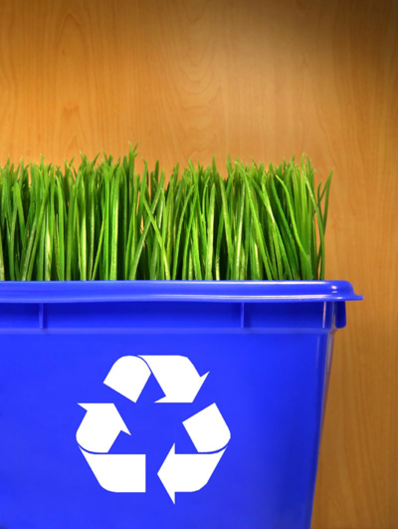 10ทริค ตกแต่งสวนอย่างมืออาชีพ