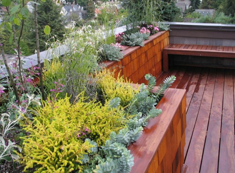 15 ทริค แต่งสวนบนดาดฟ้า..เพิ่มชีวิตชีวาให้บ้านเรา