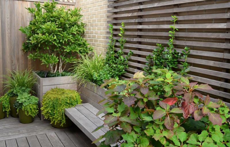 15 ทริค แต่งสวนบนดาดฟ้า..เพิ่มชีวิตชีวาให้บ้านเรา