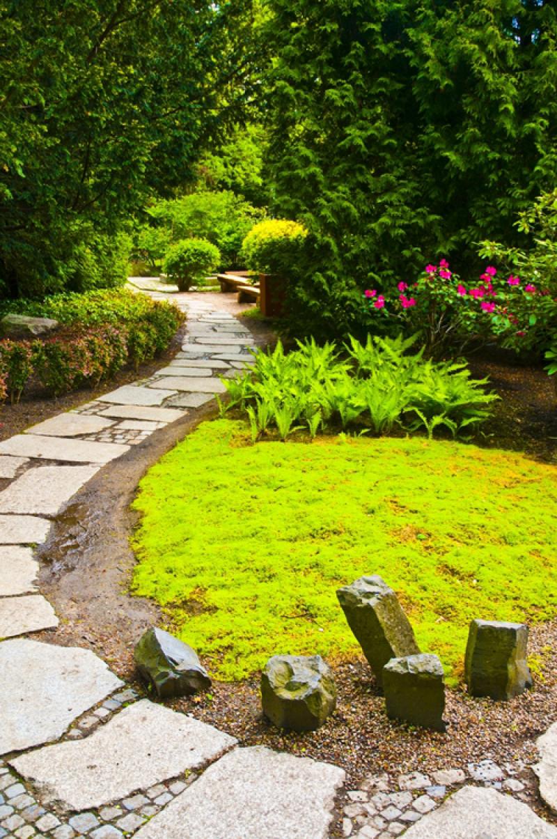 จำลองบรรยากาศในสวน ให้เป็น ..แดนซากุระ