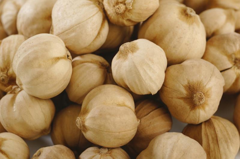 ปลูกกระเทียมง่ายๆ ในสวนผักของเรา