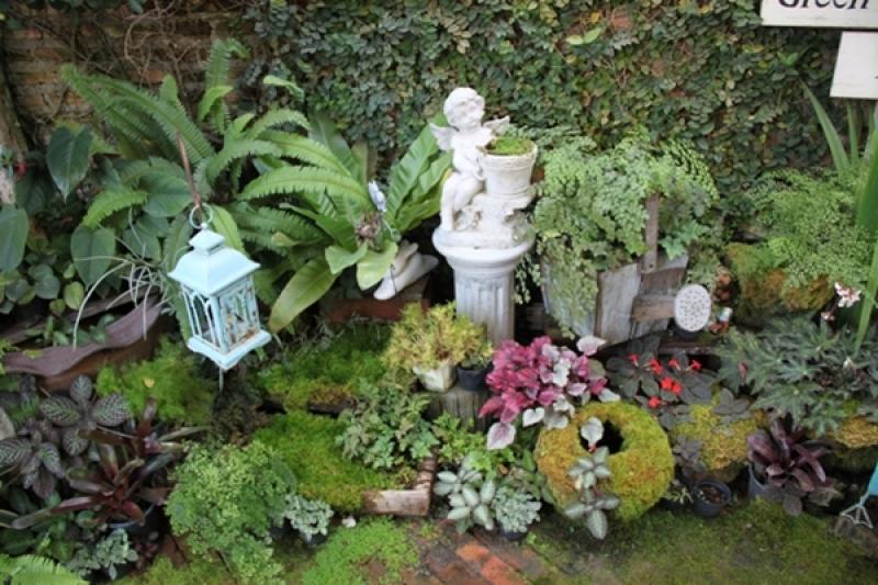 จัดสวนหย่อมข้างบ้านด้วยมอส