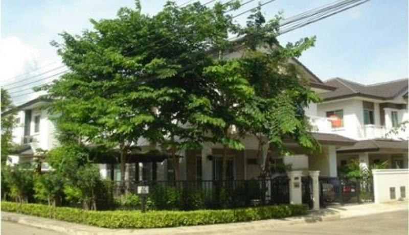 ปลูกต้นไม้ใหญ่ ไว้ตรงประตู