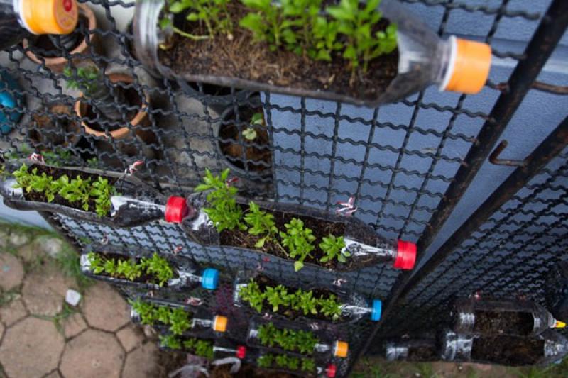 สวนผักคนเมือง..สไตล์คนรักสุขภาพ