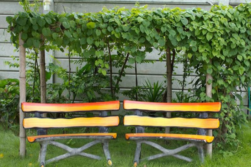 สวนผักคนเมือง..สไตล์คนรักสุขภาพ