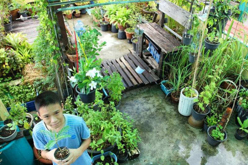 สวนผักคนเมือง..สไตล์คนรักสุขภาพ