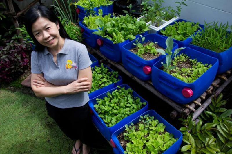 สวนผักคนเมือง..สไตล์คนรักสุขภาพ