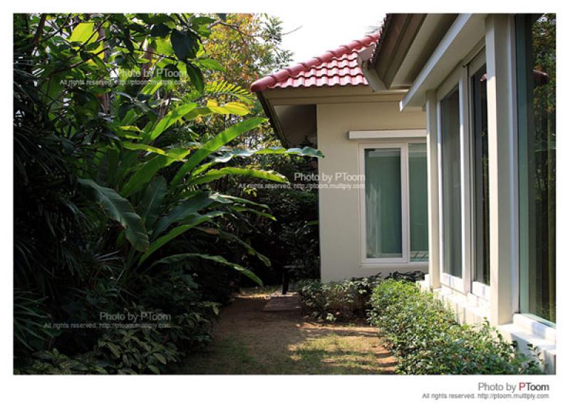 เนรมิตสวนน้อย ๆ ให้กลับมาสวยสดใส