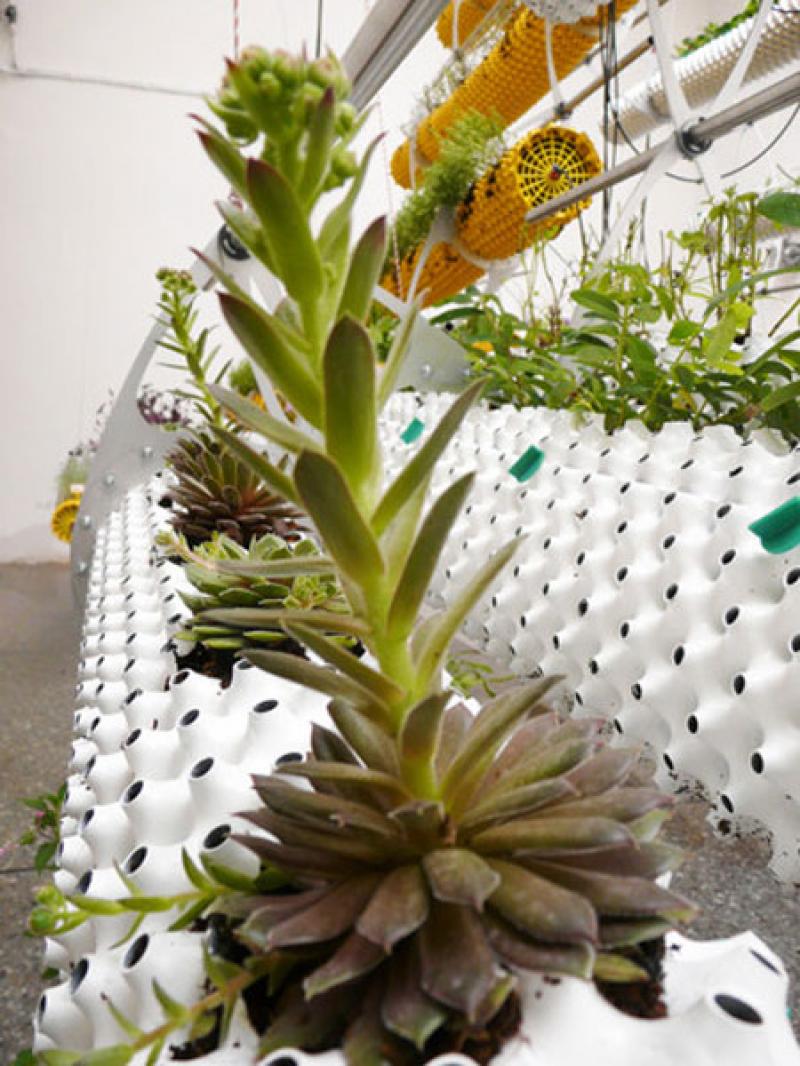 al aire กับการปลูกพืชในแท่งทรงกระบอกลอยพื้น