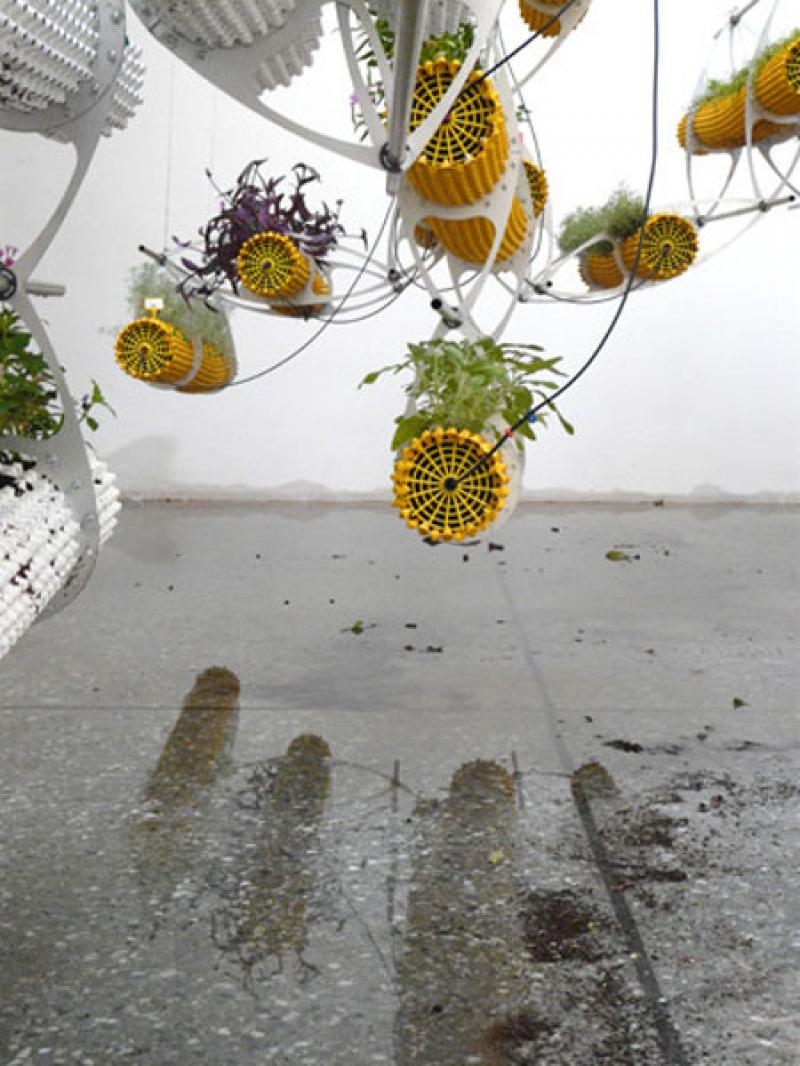 al aire กับการปลูกพืชในแท่งทรงกระบอกลอยพื้น