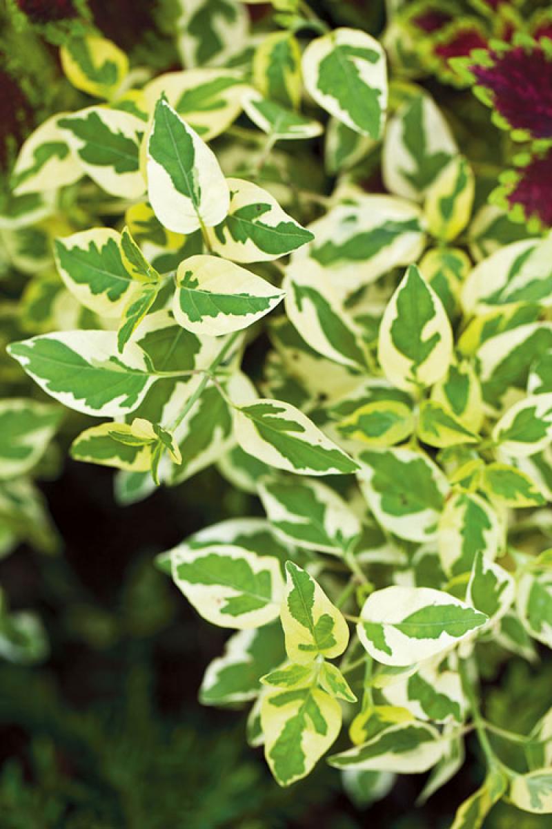 เปลี่ยนพื้นรกๆให้เป็นมุมนั่งเล่นสุดโปรด