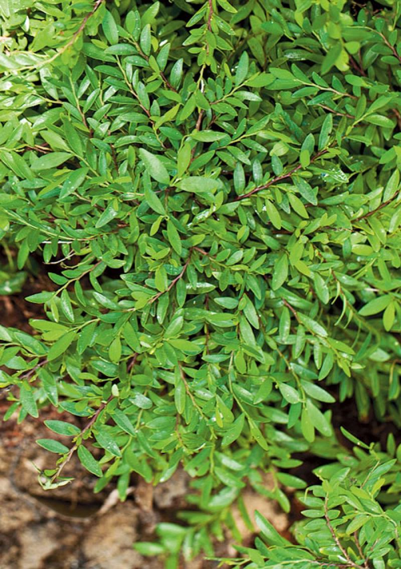 เปลี่ยนพื้นรกๆให้เป็นมุมนั่งเล่นสุดโปรด