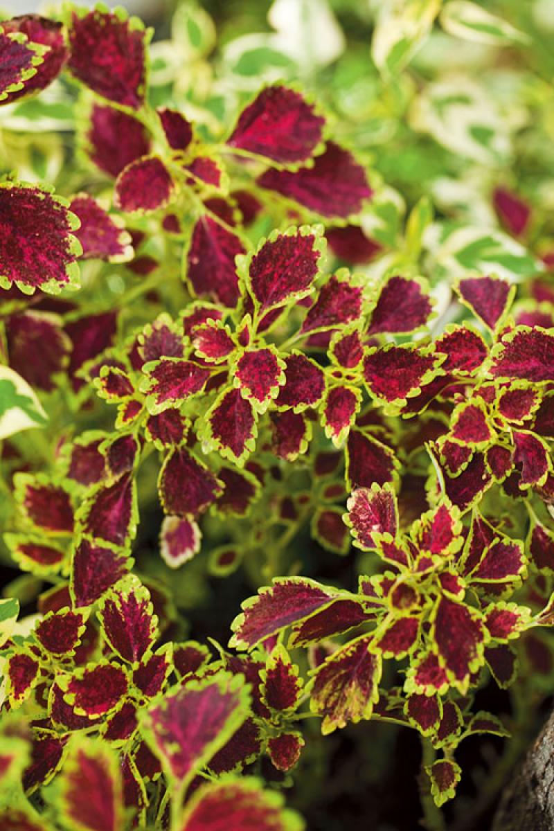 เปลี่ยนพื้นรกๆให้เป็นมุมนั่งเล่นสุดโปรด