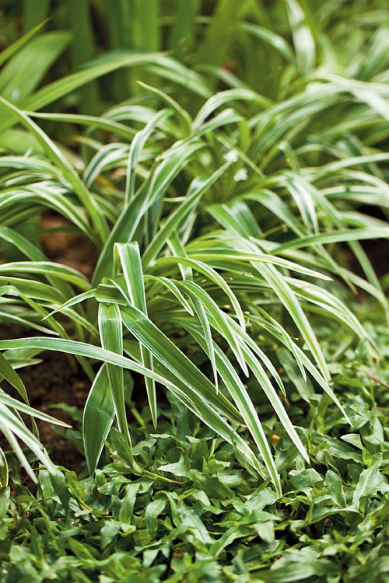 เปลี่ยนพื้นรกๆให้เป็นมุมนั่งเล่นสุดโปรด