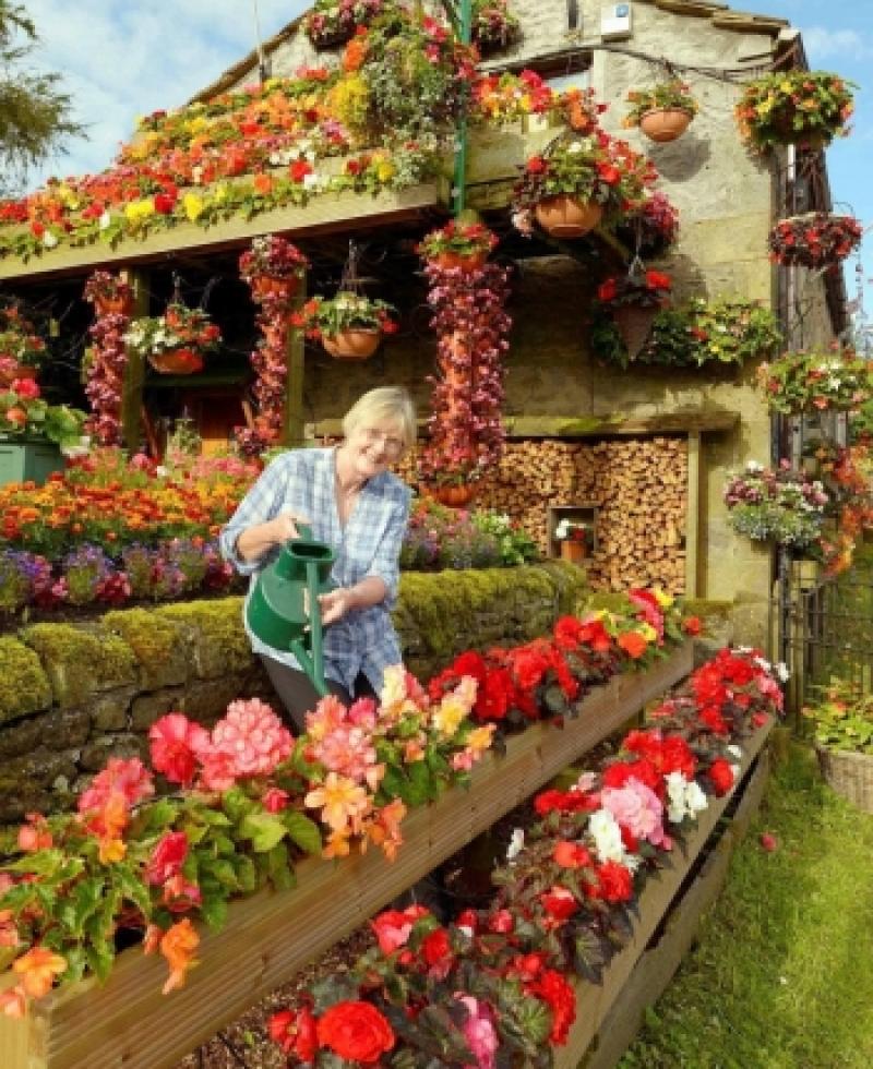 ปู่ย่าเมืองอังกฤษ ปลูกดอกไม้รอบบ้านนาน 26 ปี