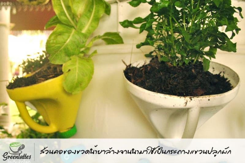 รีไซเคิลของใช้ ให้เป็นกระถางปลูกพืชผักสวนครัว
