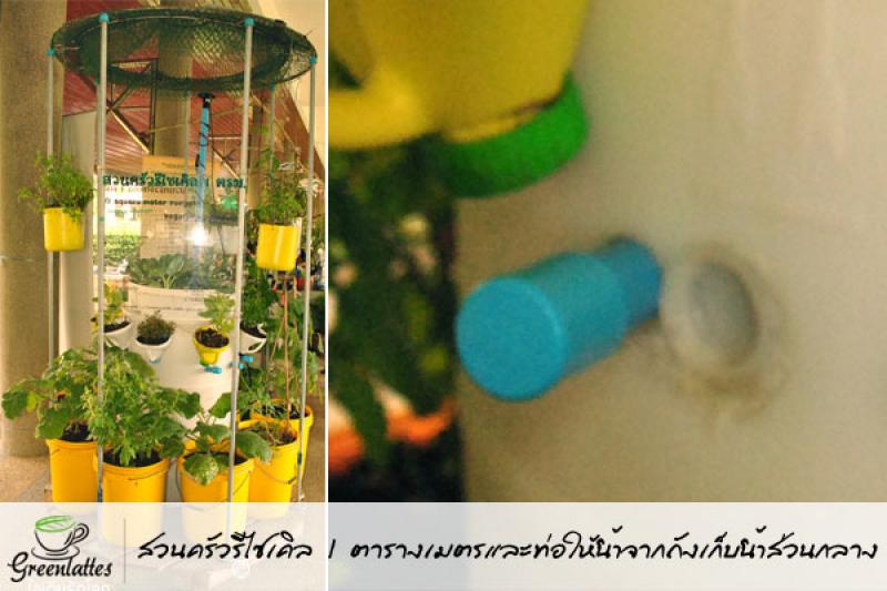 รีไซเคิลของใช้ ให้เป็นกระถางปลูกพืชผักสวนครัว