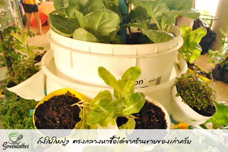 รีไซเคิลของใช้ ให้เป็นกระถางปลูกพืชผักสวนครัว