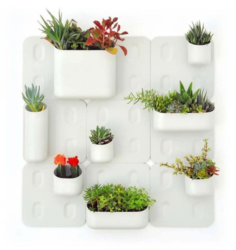 กระถางแม่เหล็กสุดเจ๋ง ครีเอทบ้านสวยให้คุณได้