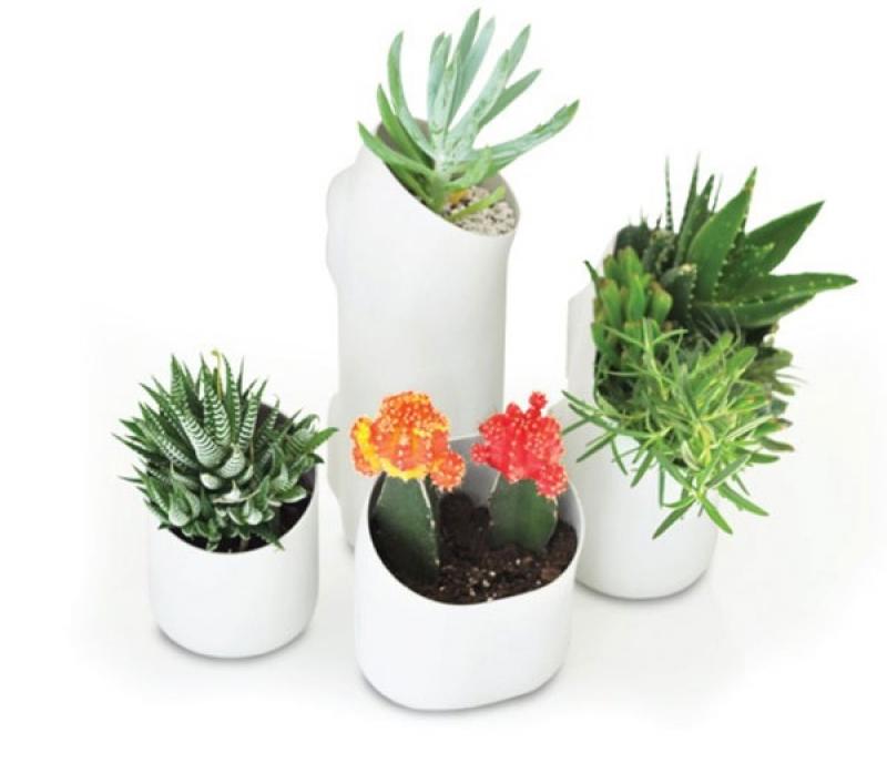 กระถางแม่เหล็กสุดเจ๋ง ครีเอทบ้านสวยให้คุณได้