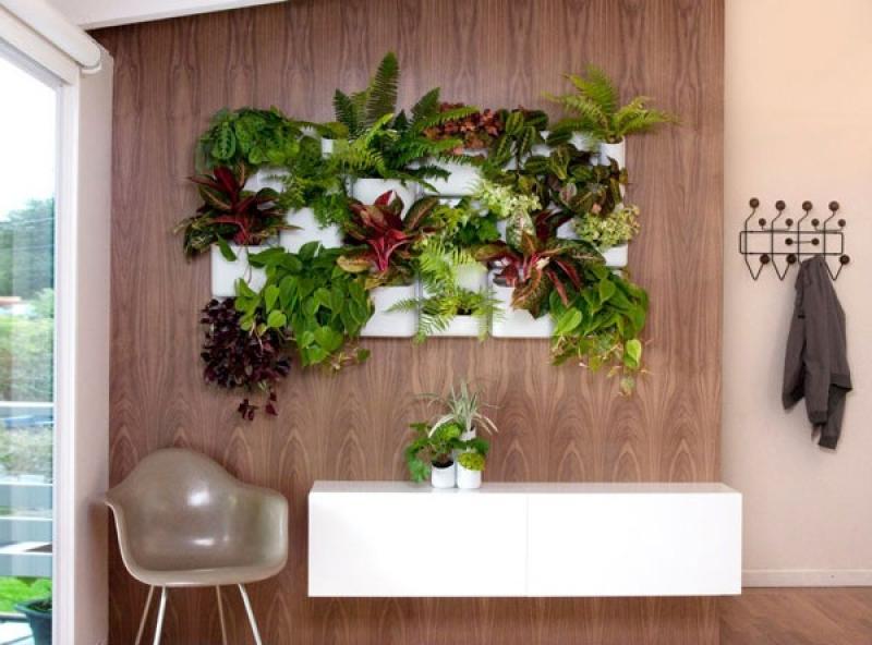 กระถางแม่เหล็กสุดเจ๋ง ครีเอทบ้านสวยให้คุณได้