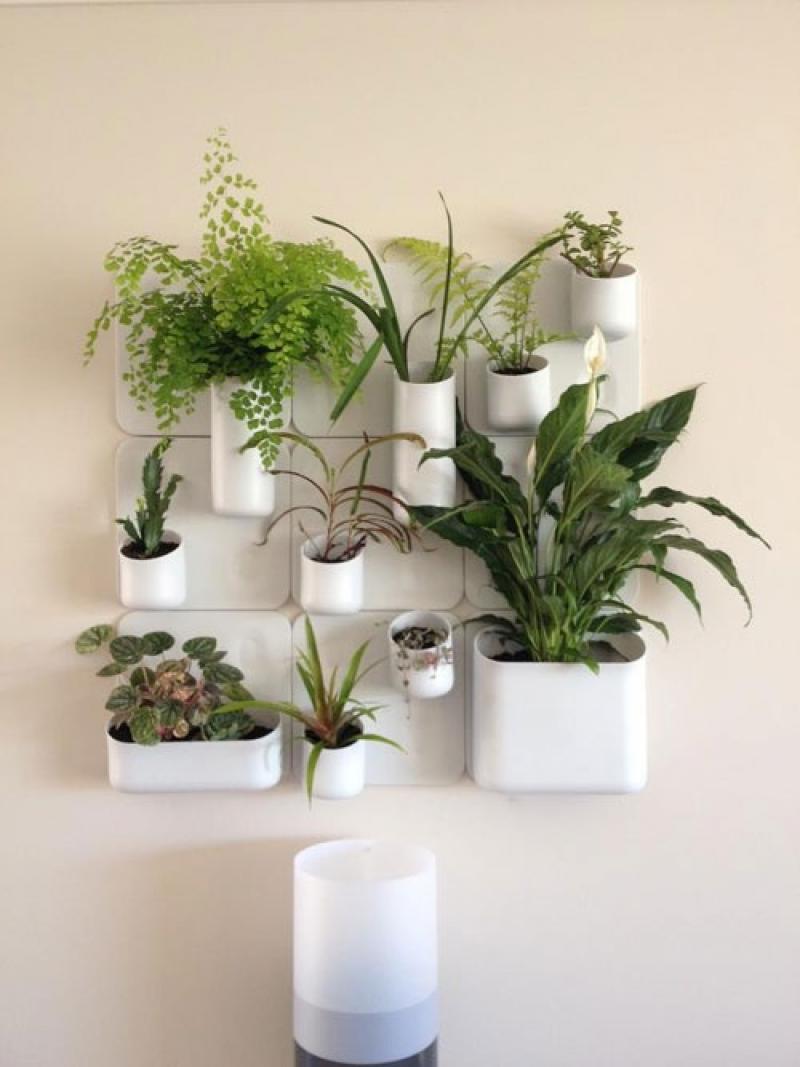 กระถางแม่เหล็กสุดเจ๋ง ครีเอทบ้านสวยให้คุณได้