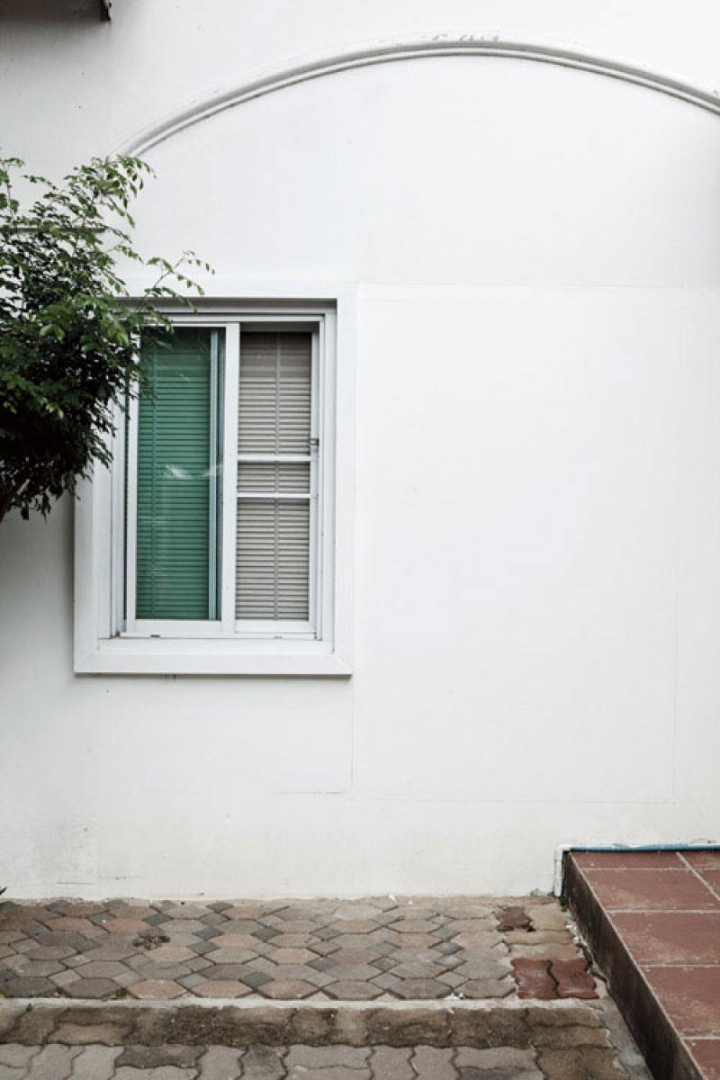 เคราฤๅษี กับสวนแนวตั้ง