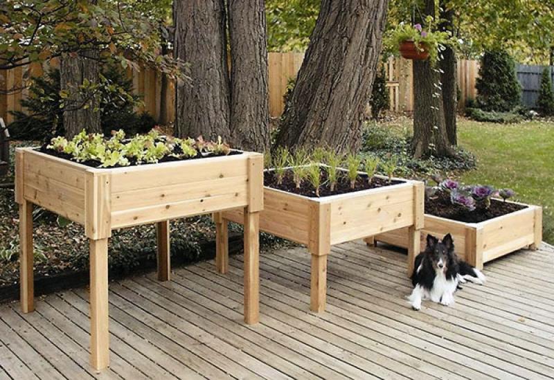 ไอเดียแต่งสวน แปลก!! แต่เจ๋ง