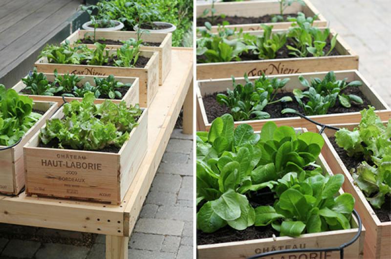 ไอเดียแต่งสวน แปลก!! แต่เจ๋ง