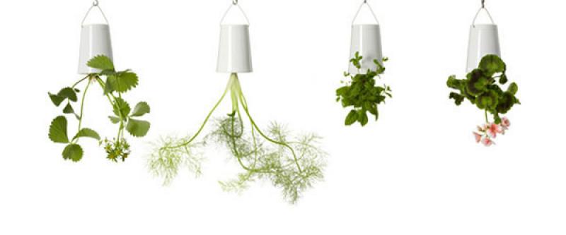 ไอเดียแต่งสวน แปลก!! แต่เจ๋ง