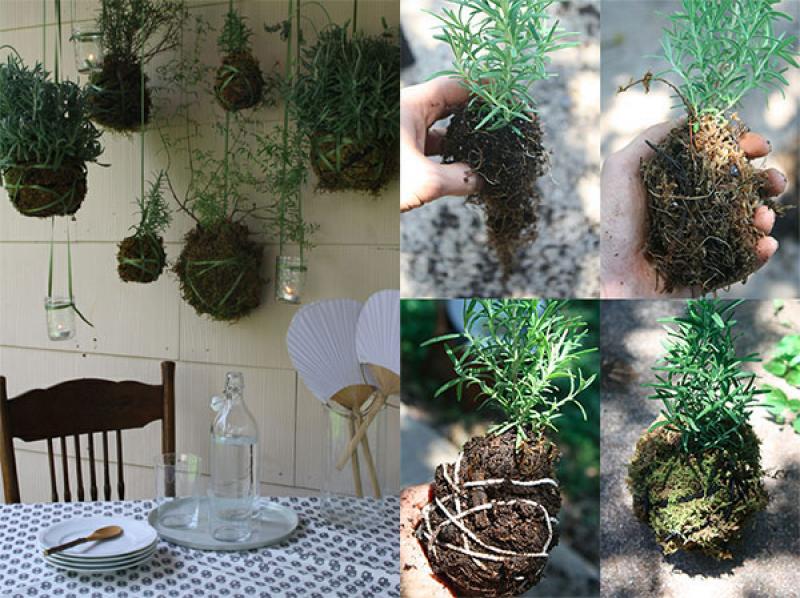 ไอเดียแต่งสวน แปลก!! แต่เจ๋ง