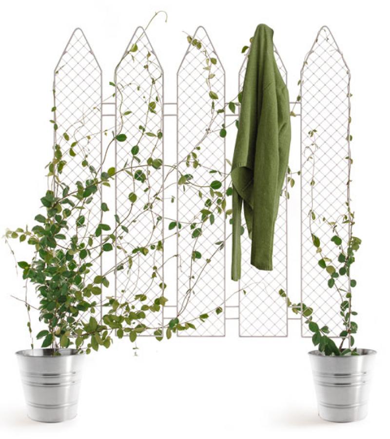 ไอเดียสุดเก๋..รั้วบ้านไม้เลื้อย