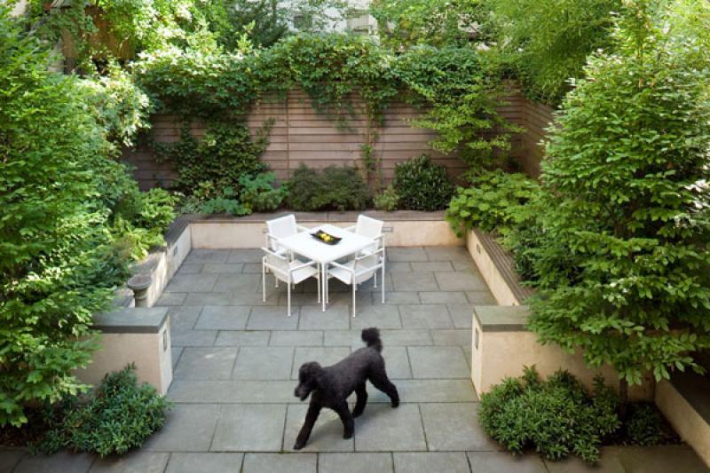 สร้างสวนสวย..ในทาวน์เฮ็าส์