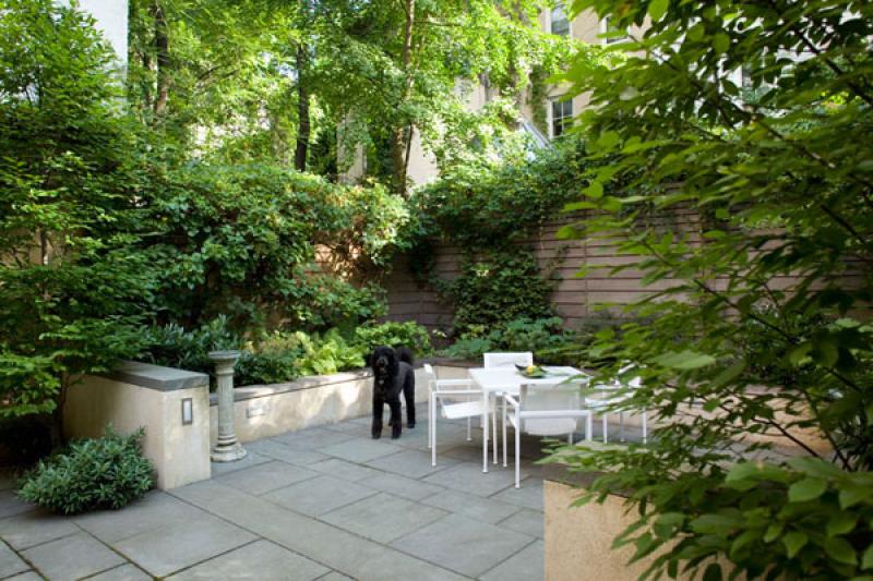 สร้างสวนสวย..ในทาวน์เฮ็าส์