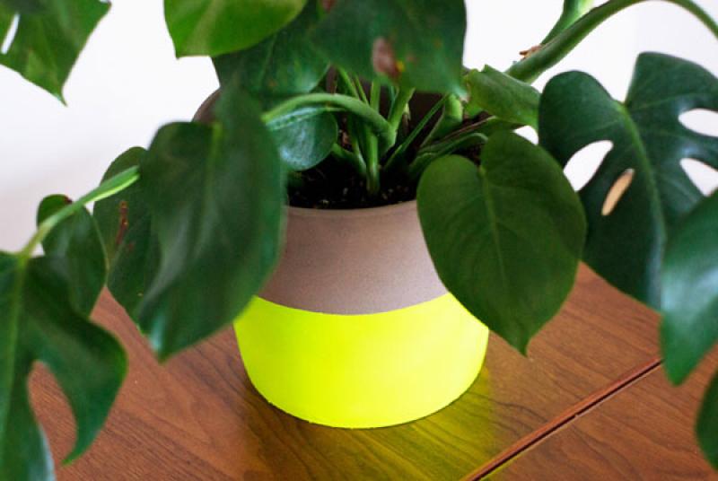 d.i.y. กระถางต้นไม้นีออนสุดแจ่ม