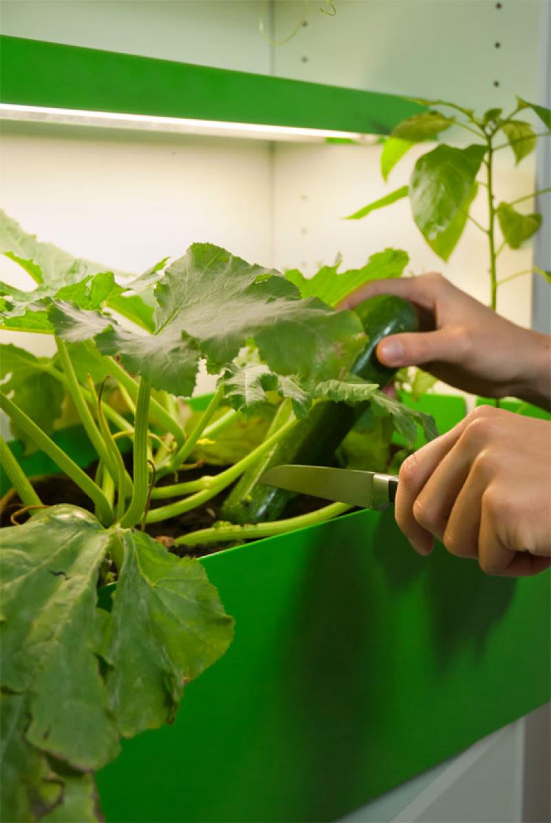 ชุดกระถาง 2อิน1..ปลูกผัก+ทำปุ๋ย