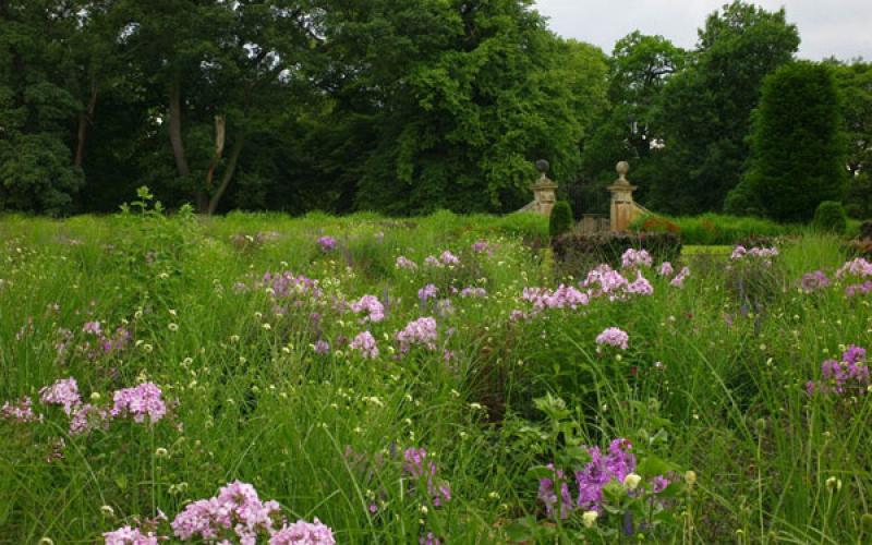 สวนสวยสุดคลาสสิก&โรแมนติก