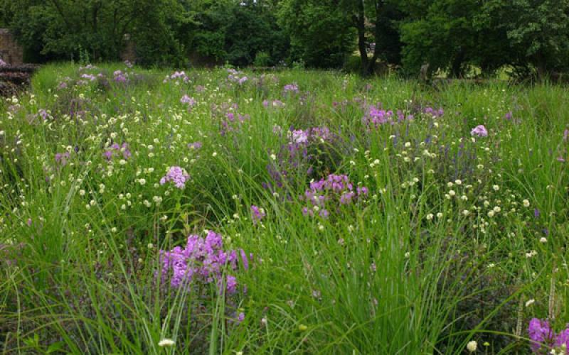 สวนสวยสุดคลาสสิก&โรแมนติก