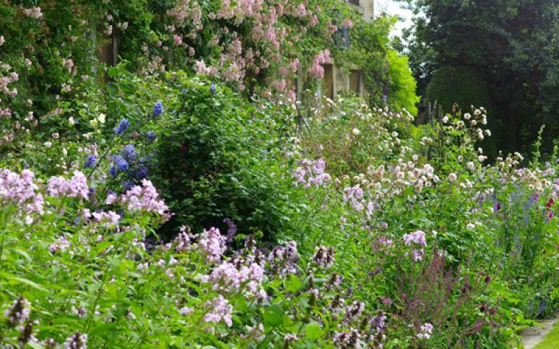 สวนสวยสุดคลาสสิก&โรแมนติก