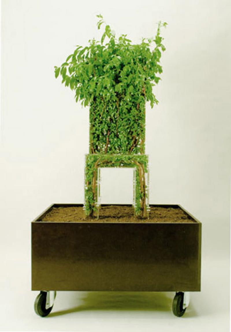 เก้าอี้ไม้ดัดสุดเก๋ในสวนสวยของเรา