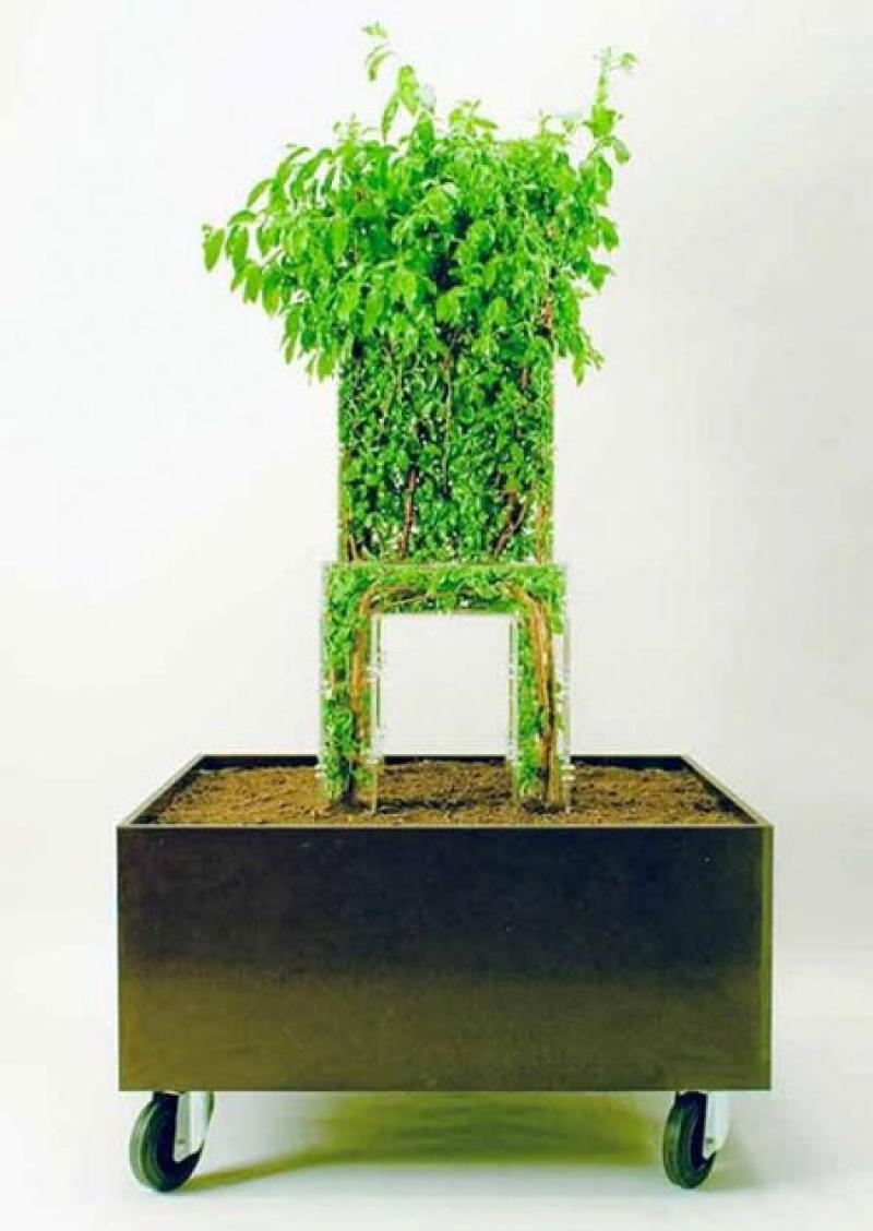 เก้าอี้ไม้ดัดสุดเก๋ในสวนสวยของเรา