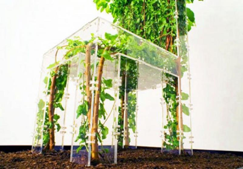 เก้าอี้ไม้ดัดสุดเก๋ในสวนสวยของเรา