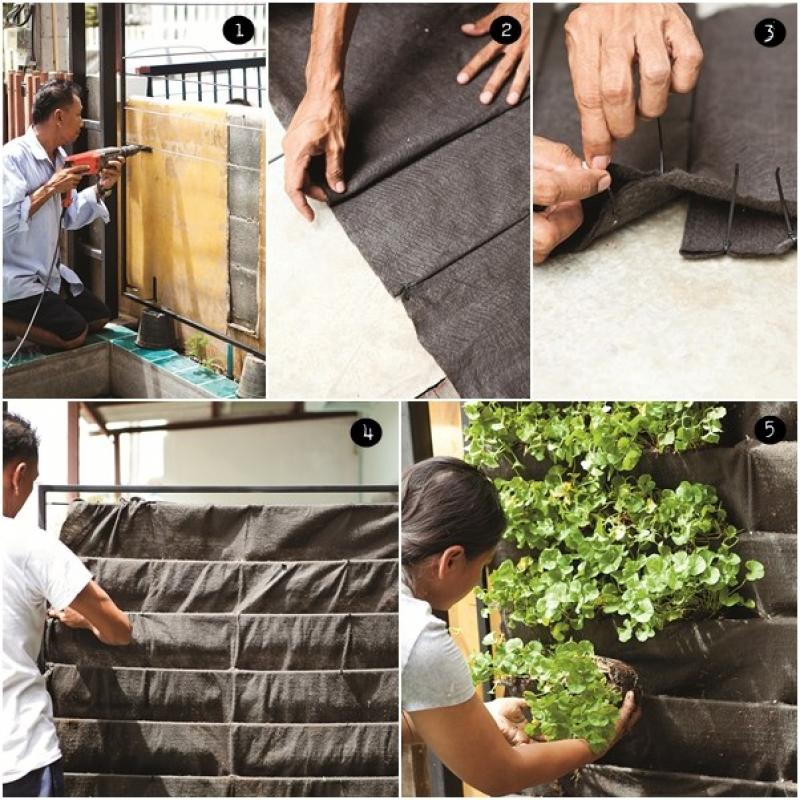 ผนังน้ำล้นและสวนแนวตั้ง