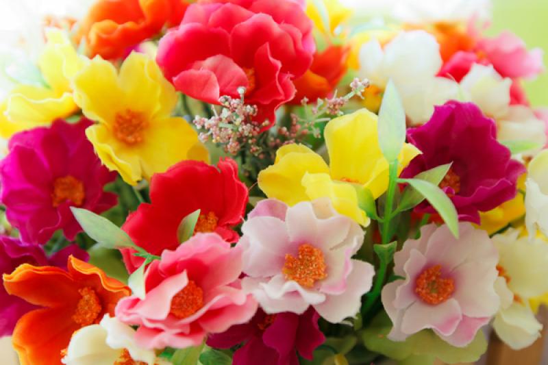 ไม้ประดับในบ้าน.ภัย..่ที่คุณไม่คาดคิด