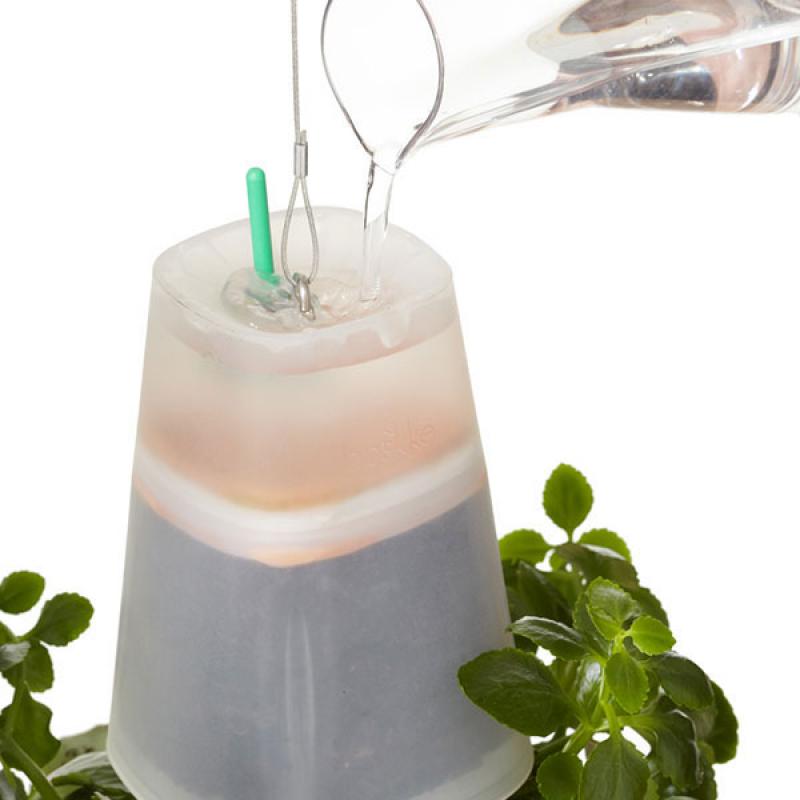 ทางเลือกใหม่ของการจัดสวน กับกระถางต้นไม้ลอยฟ้า