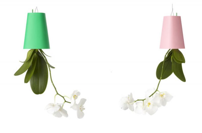 ทางเลือกใหม่ของการจัดสวน กับกระถางต้นไม้ลอยฟ้า