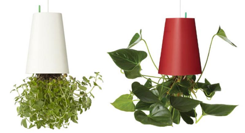 ทางเลือกใหม่ของการจัดสวน กับกระถางต้นไม้ลอยฟ้า